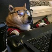 我赌你的枪里没有子弹