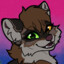 Scimitar Raccoon