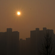 给我一颗饭的时间