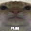 PABLO