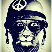 Yankee Dotson avatar