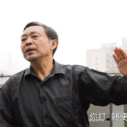 混元太极马保国