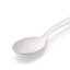 Plastic Spoon