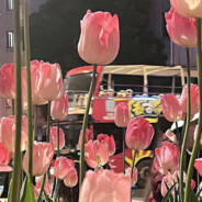 我来监督沙瑞金