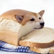 好吃的面包狗狗