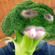 PIKENKO