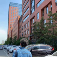 她不相信我是迪迦