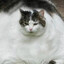 YOUR          LONG