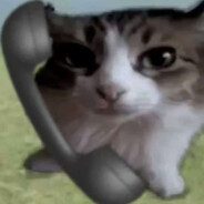 无力的黄鼠犭良666