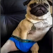 Gordo_Computadora
