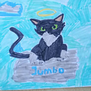 Jumbusiu SKINS