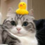 Melow