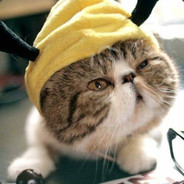 一根人鱼的脚毛