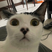 boat - steam id 76561198060689567