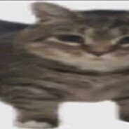 1231