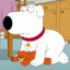 Brian Griffin