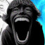 67's avatar