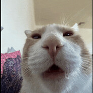 Meow?