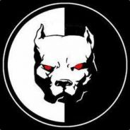 Agres!ve Team Leader