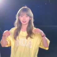 哈˙ᗜ˙（恩师板栗）