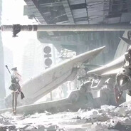 爱康萘紫的科技白鸽