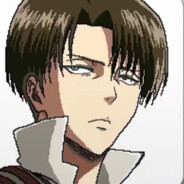 Levi