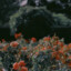 Richer_5