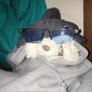 小狗跑酷可以吗