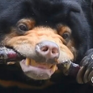 AODXD - steam id 76561198354096808