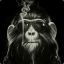 Dmbck