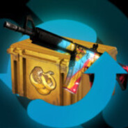 Skins 4 cases