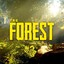 The Forest