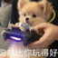 XYJ丶