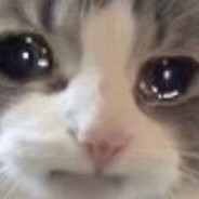 大小姐驾到统统闪开