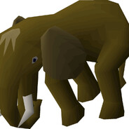 mammut