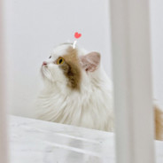 渴望成为JK的软妹