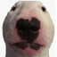 Walter