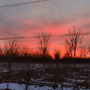 盗号加Q2834337713