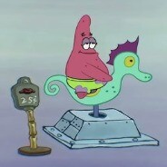 Patrick On Seahorse