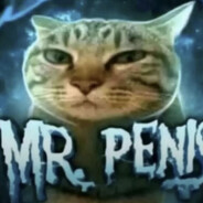 Mr.Penis