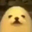 Potato