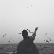 蘑菇蘑菇它不开花