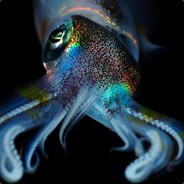 SquidlyDidly - steam id 76561197961155521