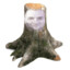 Treestump Ryan