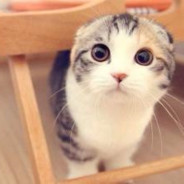 我梦见你梦见我