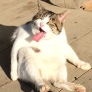 村口修车牛大爷