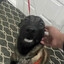 Goggleboy2
