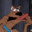 Scooby dooby doo