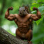 squirrel soldier