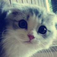 强扭的瓜非常甜